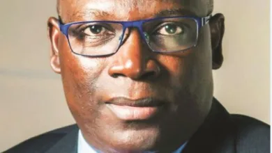 From rainbow to shame: How xenophobia betrayed the South African dream - by Seye Oladejo 3 Seye