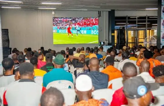 Super Eagles World Cup absence affects Ondo viewing centres, operators lament 1 afa86875 3de3 495f 846c e02fd590d646