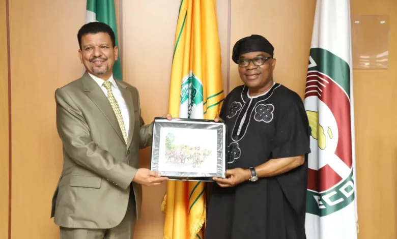 Nigeria reaffirms support for Sahrawi Arab Democratic Republic 1 d18f6091 6fdf 4d33 907c f83ee0dd8360