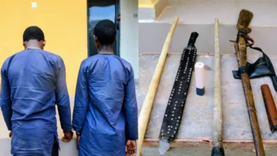 Police arrest two over alleged involvement in Oyo-Iwo highway robbery 8 e7a0a4f1 3b86 475b 9368 cc026f78e8b5