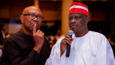2027: Did Peter Obi Negotiate Four Years for Ndigbo or for Himself?—By Stanley Nkwocha 6 fbc9172f d32e 4c9c 9fbd d36f6ae2d5e6