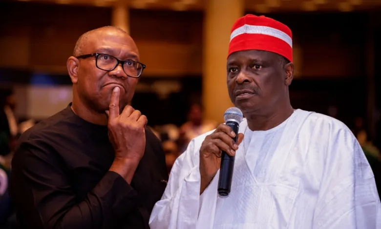 2027: Did Peter Obi Negotiate Four Years for Ndigbo or for Himself?—By Stanley Nkwocha 1 fbc9172f d32e 4c9c 9fbd d36f6ae2d5e6