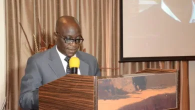 IDB unveils first community website to showcase Ile-Ife to the world 7 images 20 1