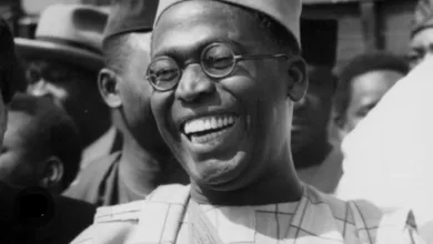 How Chief Awolowo's writing influenced my career — by Osita Chidoka 8 1786200589499
