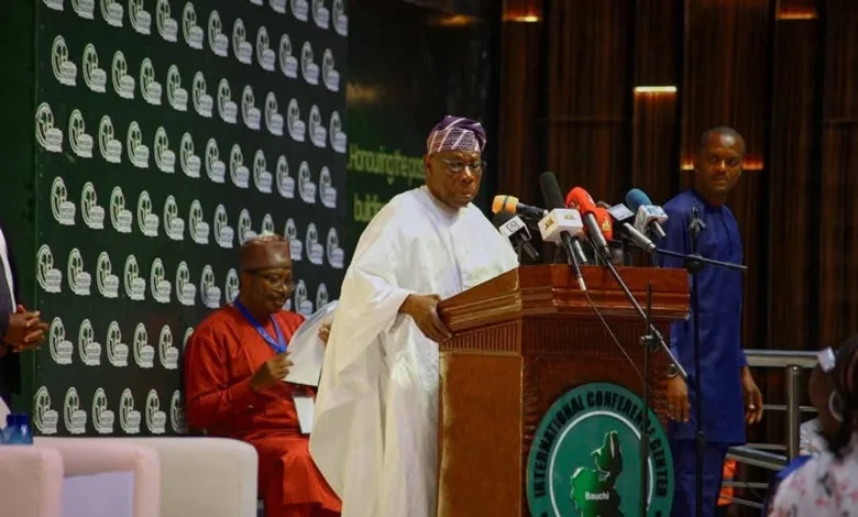 Western democracy must reflect African realities, Obasanjo says 1 5e30eb49 7739 46cb ac3b 876ba526f224