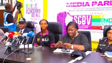Lagos records 33,009 domestic, sexual violence cases in five years 2 96c2b104 0689 4841 9c82 10ecb2306851