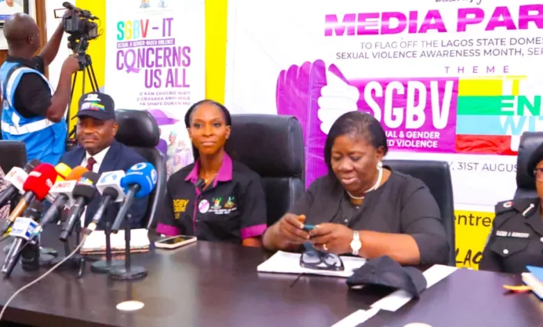 Lagos records 33,009 domestic, sexual violence cases in five years 3 96c2b104 0689 4841 9c82 10ecb2306851