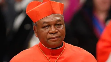 Bishop Onaiyekan again: The hand of Esau but the voice of Jacob - by Seye Oladejo 9 Cardinal John Onaiyekan