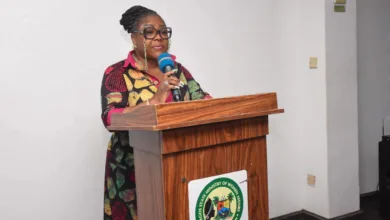 Lagos renews commitment to improving mental health support services for residents 10 FB IMG 1785851139958