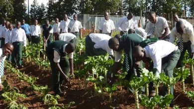 FG moves to make agricultural education 80% practical 7 IMG 1196