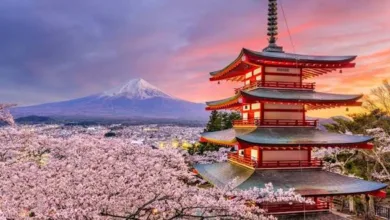Japan's rising neo-militarism must not go unchecked 7 IMG 1279