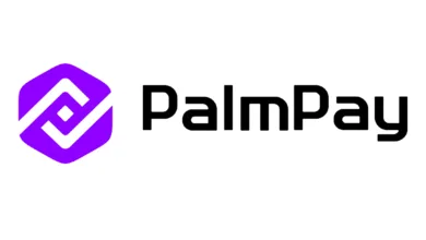 PalmPay wins Leadership Fintech Company of the Year 2026 award 8 IMG 20260820 181141 6 x 4 inch