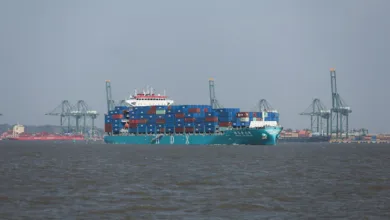 India’s Iran exports set to fall further due to Dubai halt, US sanctions 6 RI2FRUR37JPNXO2H3CRQ43JETQ