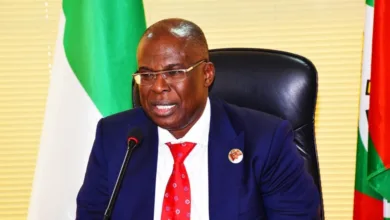Timipre Sylva 1000x600 1