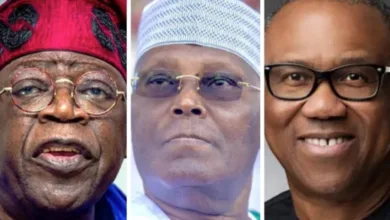 2027: SERAP demands asset disclosure from Tinubu, Atiku, Obi, Adebayo, 15 others 10 Tinubu FINAL 1406