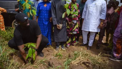 NALDA to plant one million economic trees across Nigeria 10 c0ddb82d dbf1 4a27 b329 9d666edc6065