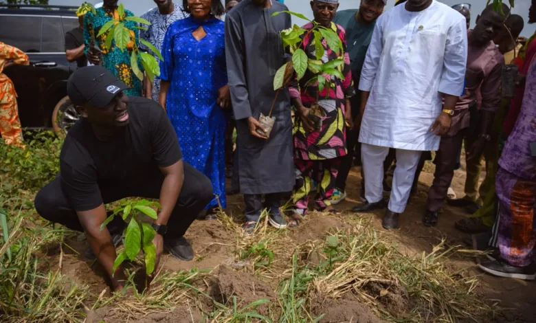NALDA to plant one million economic trees across Nigeria 1 c0ddb82d dbf1 4a27 b329 9d666edc6065