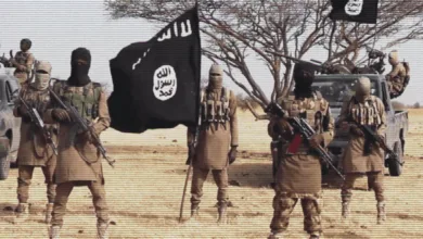 Boko Haram's Cameroonian commanders are extending the group's reach 10 iss today pic