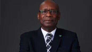 Eko Atlantic could surpass Dangote Refinery's GDP impact, says Chike-Obi 3 markup 1000609079 2026 08 01 193