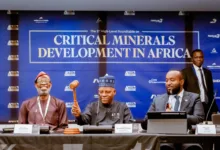 Shettima rallies African countries to end raw mineral exports 2 014486ad 0640 4165 9912 c26a01451a4a