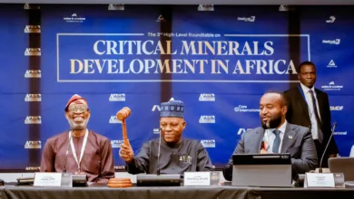 Shettima rallies African countries to end raw mineral exports 6 014486ad 0640 4165 9912 c26a01451a4a