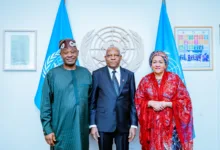 UNGA 81: Africa deserves permanent seat on UN Security Council — Shettima 2 70554cdc 2b39 40ea 9c70 bbdef2c0d3ea