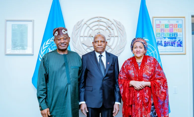 UNGA 81: Africa deserves permanent seat on UN Security Council — Shettima 1 70554cdc 2b39 40ea 9c70 bbdef2c0d3ea