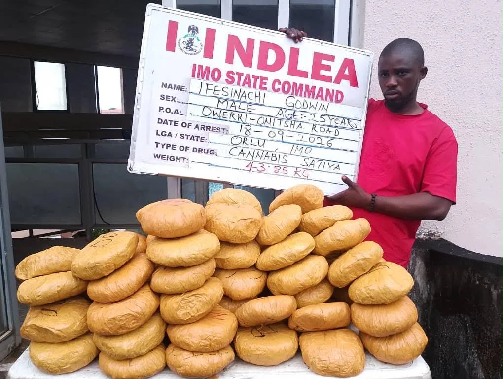 NDLEA seizes N3.4bn drugs, arrests fake police officer, others 8 7f12fca1 fdb1 469b ad6a be9d64368ccb