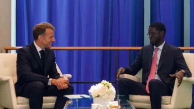 Was this 'Charmer' the hand of Esau behind the problem in Senegal — by Kelechi Deca 6 IMG 20260924 WA0017