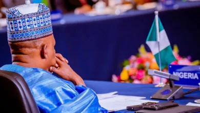 Shettima heads to New Delhi for BRICS summit 7 IMG 1724