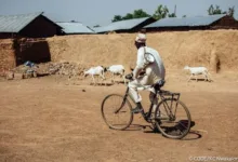 FG tasks 774 council chairmen with grassroots development 14 IMG 1970