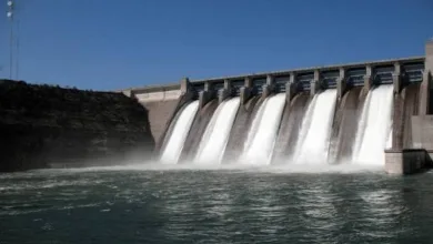 FG engages Chinese firm to revive $2.35bn Mambilla power project 11 IMG 1991