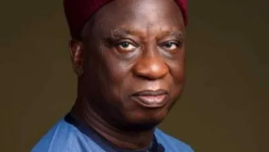 Makinde appoints former Minister Hyat campaign DG for 2027 presidential election 6 IMG 3393