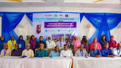 NASENI targets lower farm costs with solar-powered irrigation 9 SBIS Kano