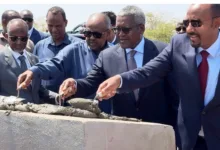 Dangote Group partners Ethiopia, Djibouti to develop $660m petroleum pipeline project 3 Screenshot 25 9 2026 10429 www.thecable.ng