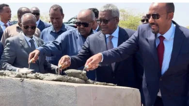 Dangote Group partners Ethiopia, Djibouti to develop $660m petroleum pipeline project 7 Screenshot 25 9 2026 10429 www.thecable.ng