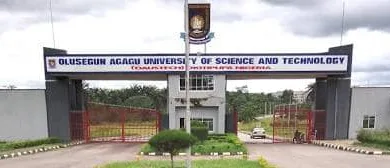 Another Ondo varsity rejects 60% subvention increase, insists strike continues 6 image 2