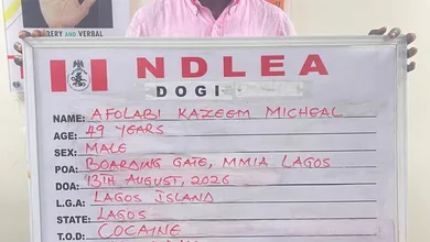 NDLEA arraigns KC Luxury, two others over 184.5kg cocaine 9 image 7