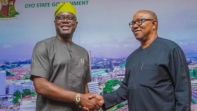 Peter Obi attends Makinde’s presidential campaign launch 9 images 2026 09 07T163323.142