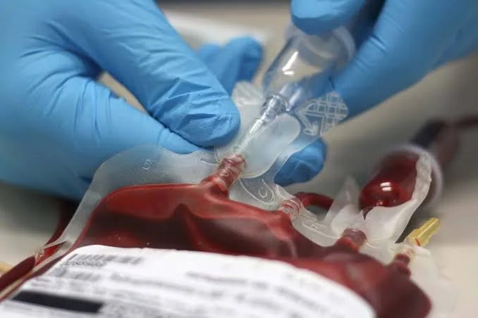 Jehovah’s Witnesses unveil latest update to blood transfusion policy 1 images 2026 09 19T184907.976