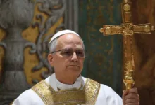 Adebayo hails Pope Leo XIV at 71, praises peace advocacy 2 images 243