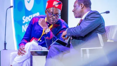 Nigeria needs competitive exchange rate to boost local production — Soludo 9 04426177 093f 4a8f a153 0438d7ff82a3