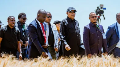 Nigeria plans 20bn-tree campaign, adopts Ethiopia’s agriculture model — Shettima 9 736ce59c f664 48df a987 e06b85b97fe1