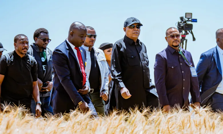 Nigeria plans 20bn-tree campaign, adopts Ethiopia’s agriculture model — Shettima 1 736ce59c f664 48df a987 e06b85b97fe1