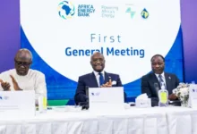 Afreximbank, APPO unveil Africa Energy Bank to bridge $200bn funding gap 5 AEB First General Meeting photo 1 2026 10 31 720 768x458 1
