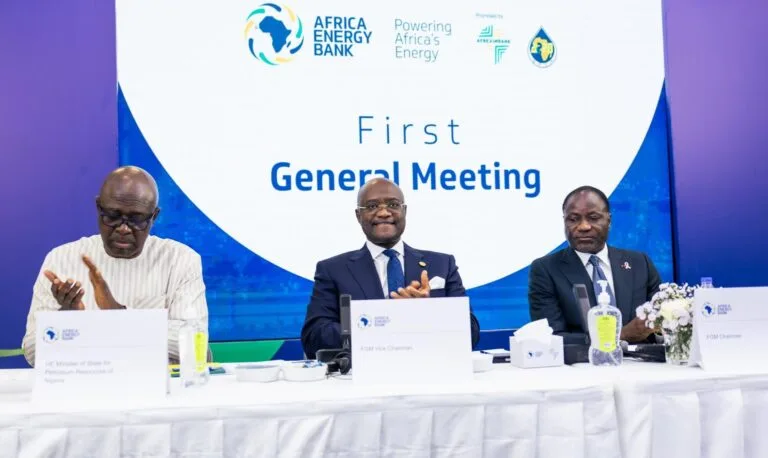 Afreximbank, APPO unveil Africa Energy Bank to bridge $200bn funding gap 1 AEB First General Meeting photo 1 2026 10 31 720 768x458 1