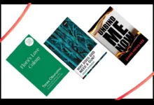The literary critic as a hatchet man — by Abdul Mahmud 2 IMG 20261008 WA0016