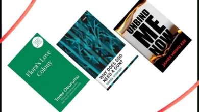 The literary critic as a hatchet man — by Abdul Mahmud 8 IMG 20261008 WA0016