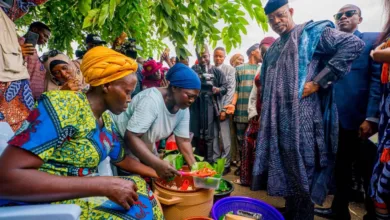 Abiodun distributes tractors, phones, farm inputs to 10,000 farmers in Ogun 6 IMG 20261017 WA0005