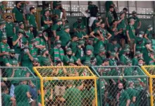 Rangers seek CAF action over alleged MC Alger fans' rampage 2 IMG 20261019 WA0258
